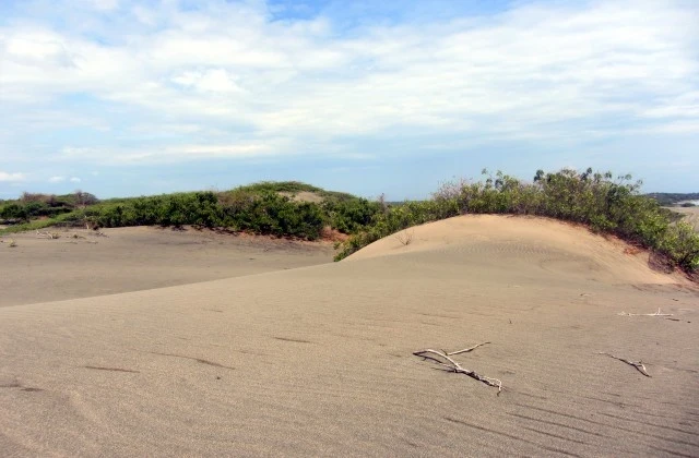 Sand Dunes de Bani Peravia